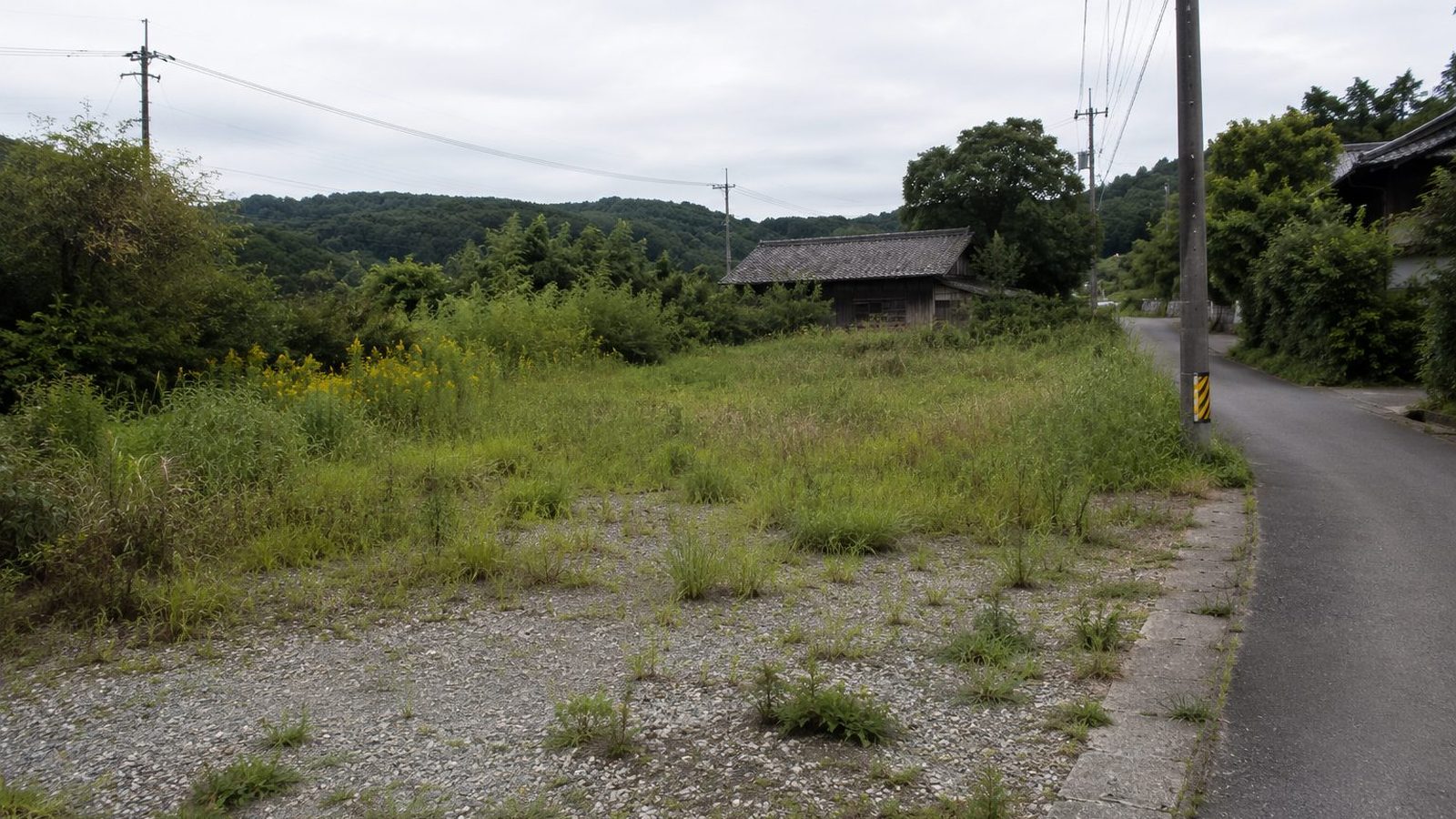 草が伸びた田舎の空き地と古い木造住宅